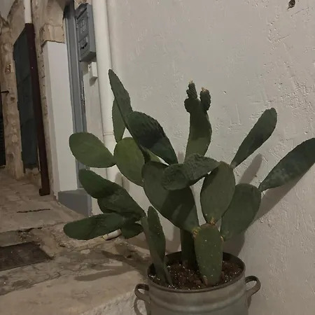 Allegra's Feriehus Ostuni
